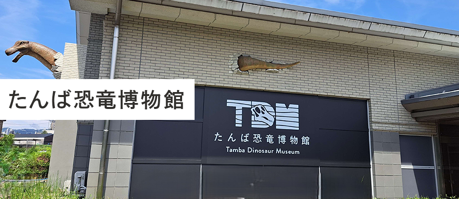 たんば恐竜博物館 特設サイト