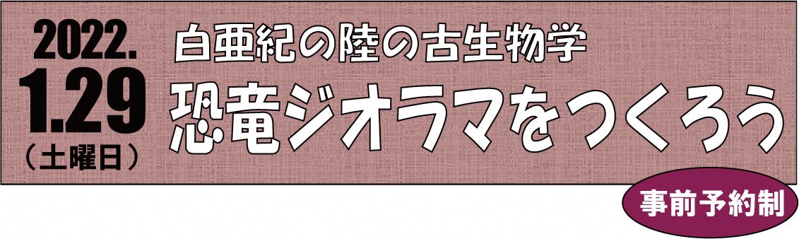 20210817wssmal