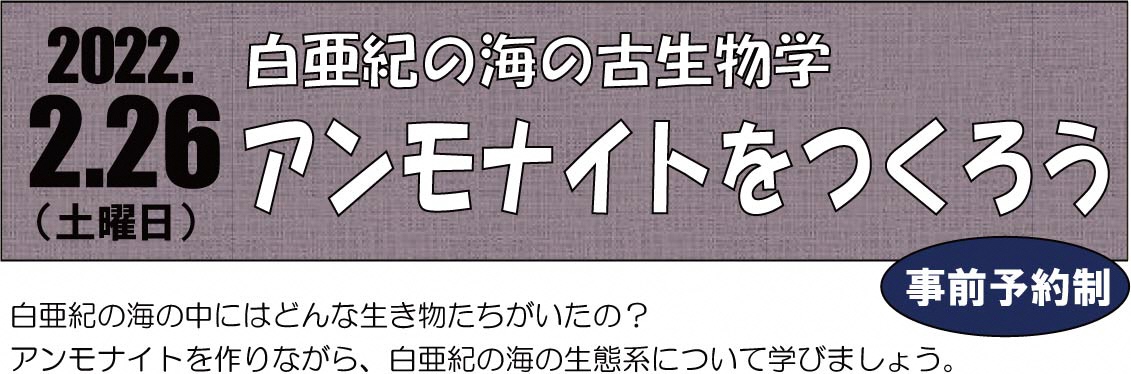 20210817wssmal