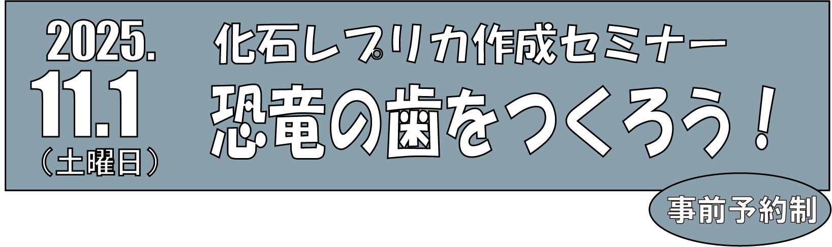 恐竜の歯レプリカセミナー