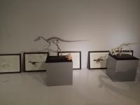 展示された