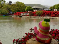 庭園
