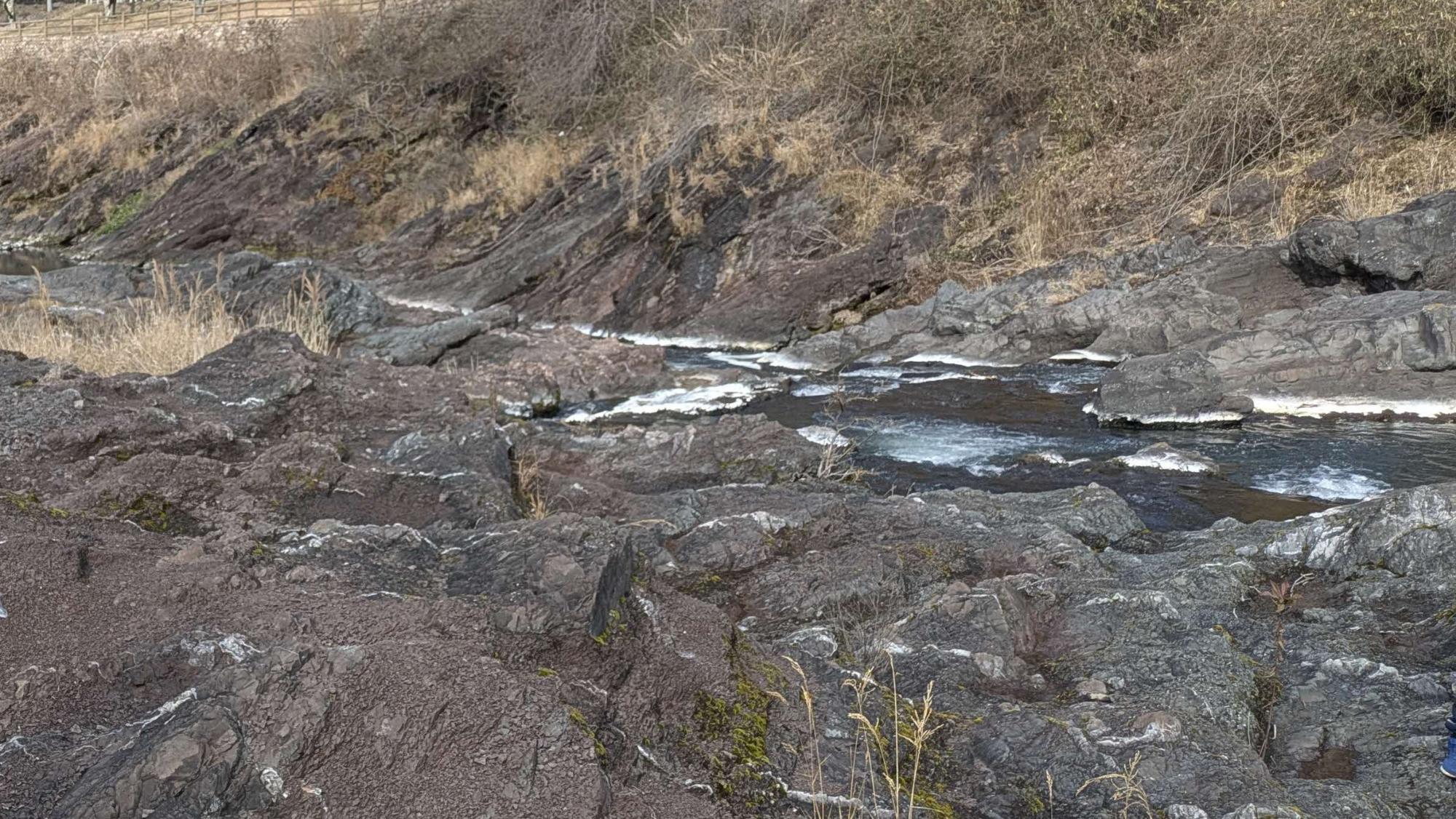 学習プログラムでの地層観察の様子