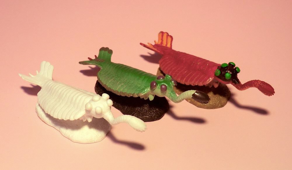 opabinia