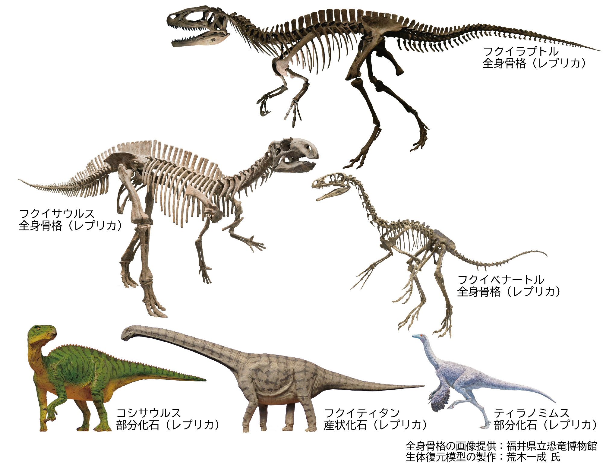 Fukui_dinosaurs