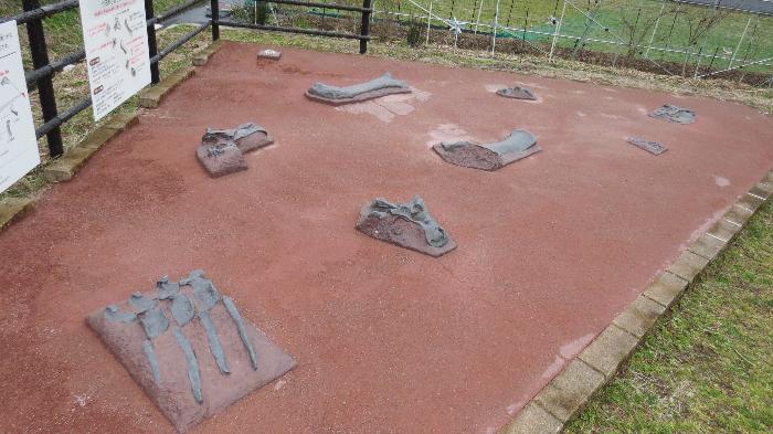 展望広場に展示してある化石レプリカ