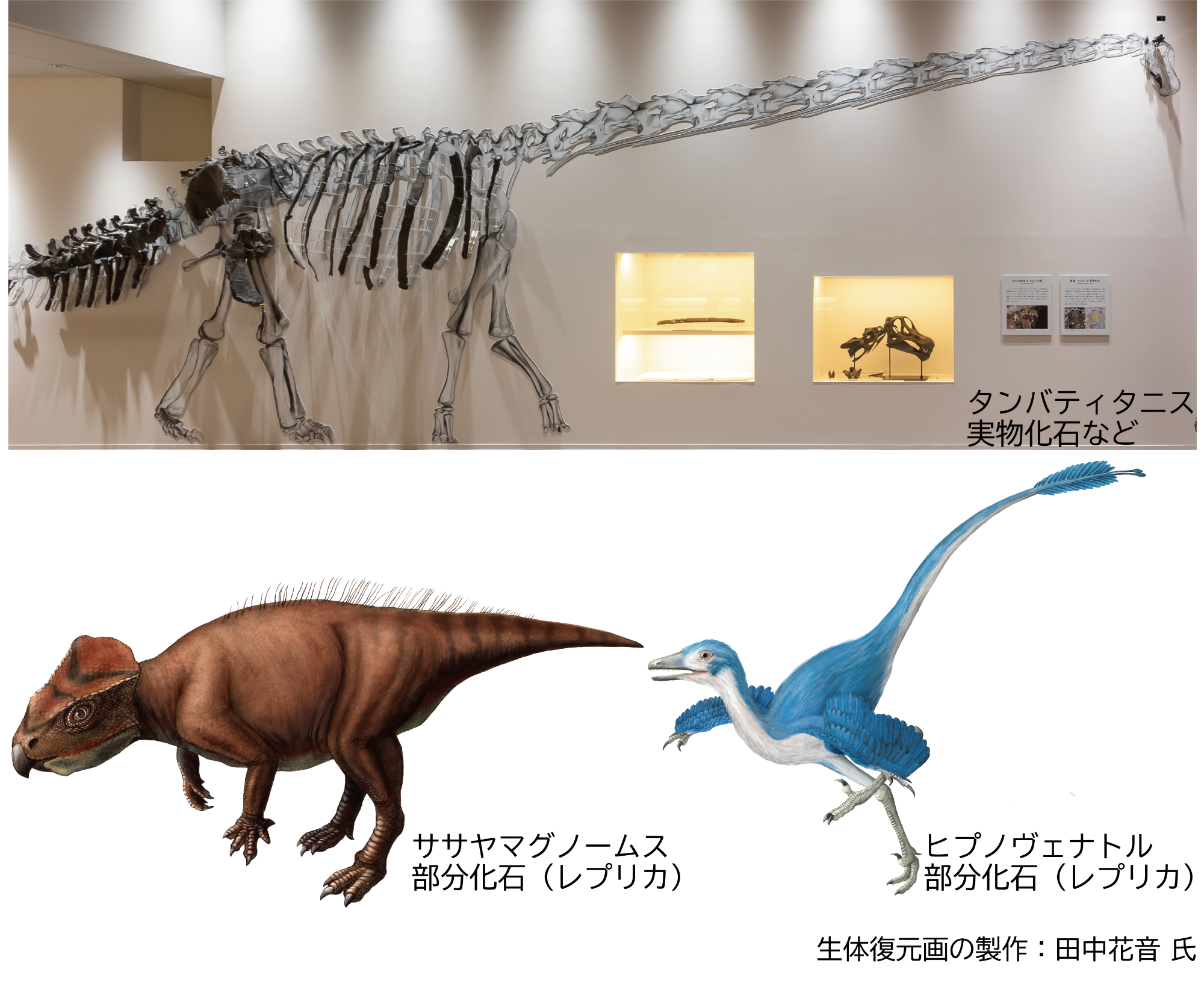 Sasayama_group_dinosaurs