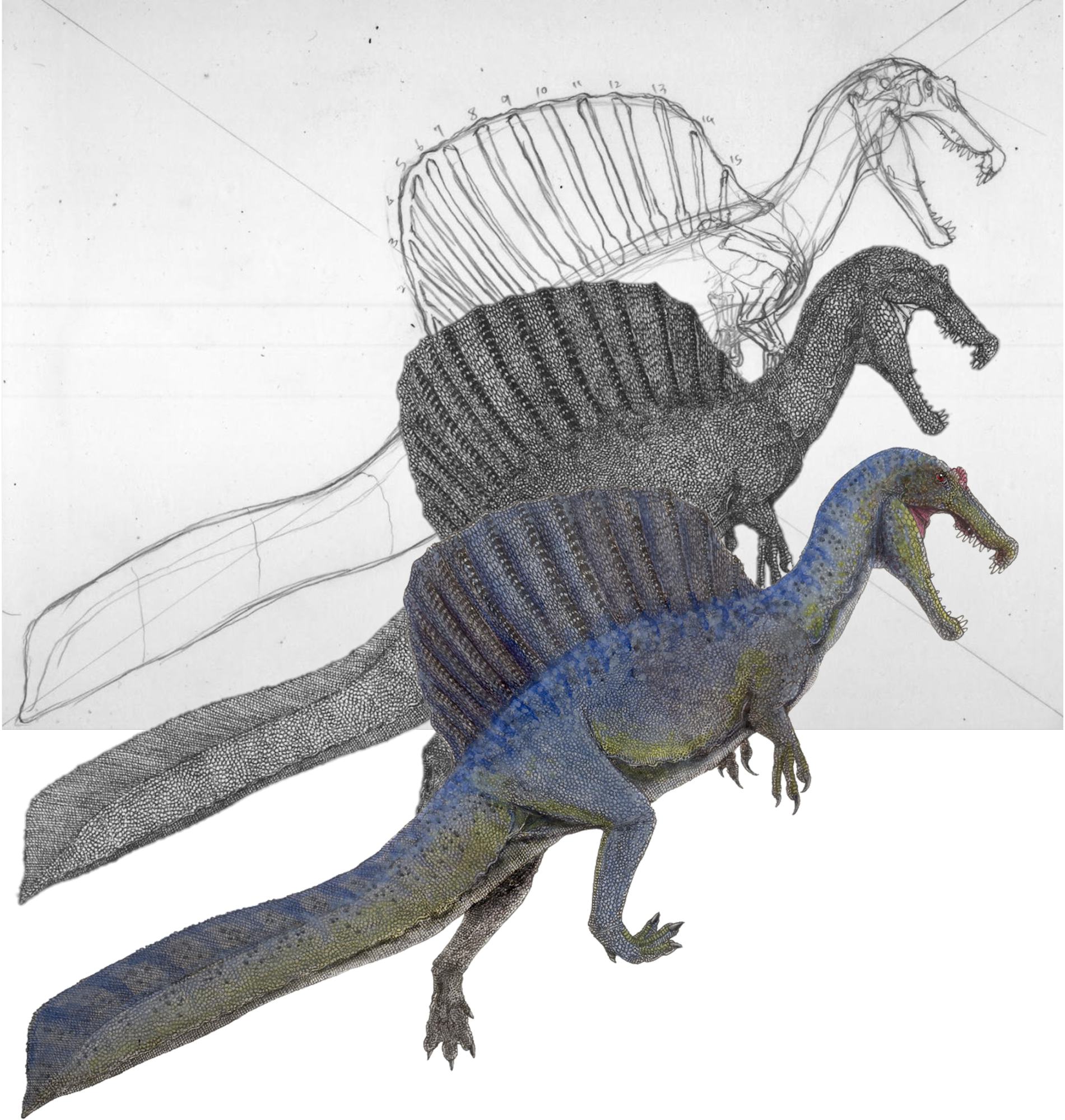 スピノサウルス復元画