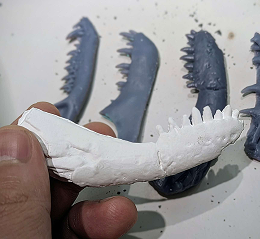 アゴの化石のレプリカ写真 白い素材でできた長細いレプリカを手で持っている