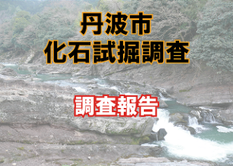 丹波市化石試掘調査調査報告