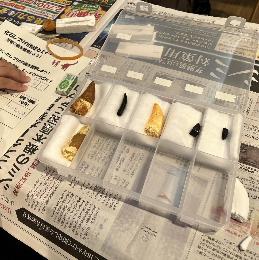 恐竜の歯のレプリカ