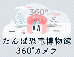 たんば恐竜博物館360度カメラ