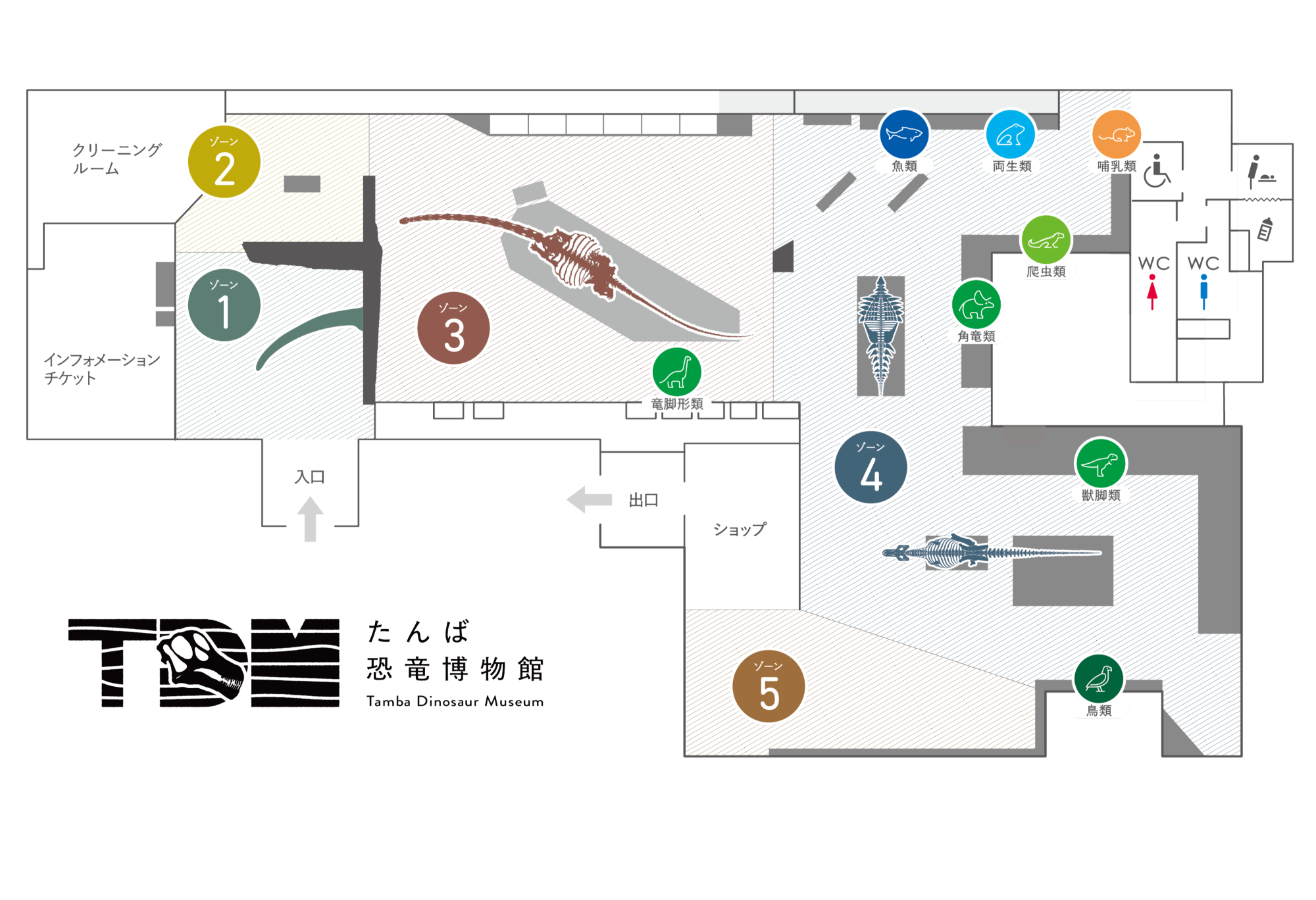 たんば恐竜博物館館内マップ  詳細は以下リンクへ