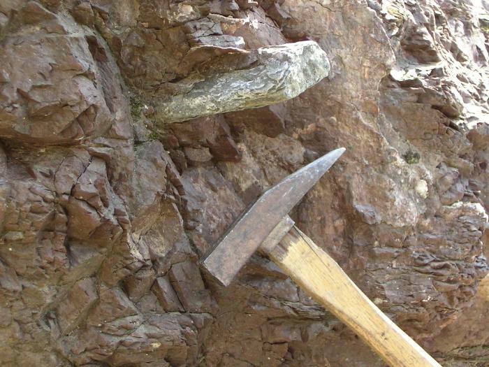 丹波竜発見肋骨 岩肌の中にある化石と金槌が写っている