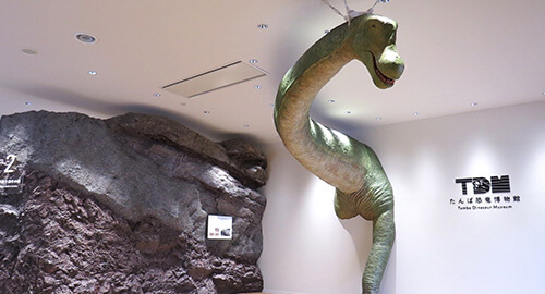 博物館ゾーン1入口の写真 壁から恐竜が前足部分まで飛び出している その横には博物館ロゴ、奥には岩肌が展示されている