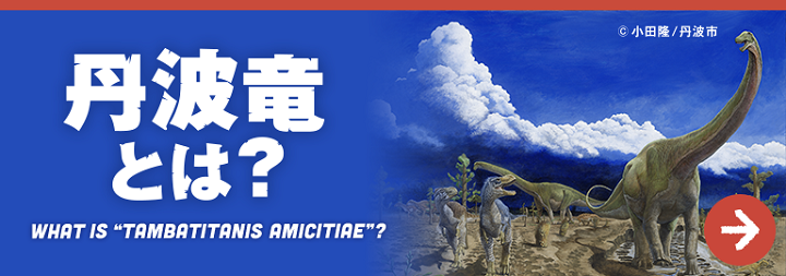 丹波竜とは？ WHAT IS "TAMBATITANIS AMICITIATE"?