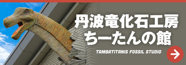 丹波竜化石工房ちーたんの館 TAMBATITANIS FOSSIL STUDIO