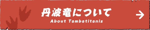 丹波竜について About Tambatitanis