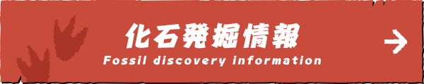 化石発掘情報 Fossil discovery information