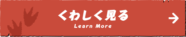 くわしく見る Learn More