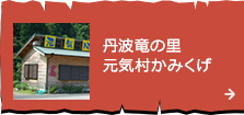 丹波竜の里 元気村かみくげ